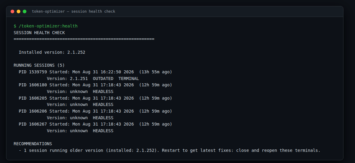 Session health check output listing five running Claude Code sessions with elapsed time, version and flags